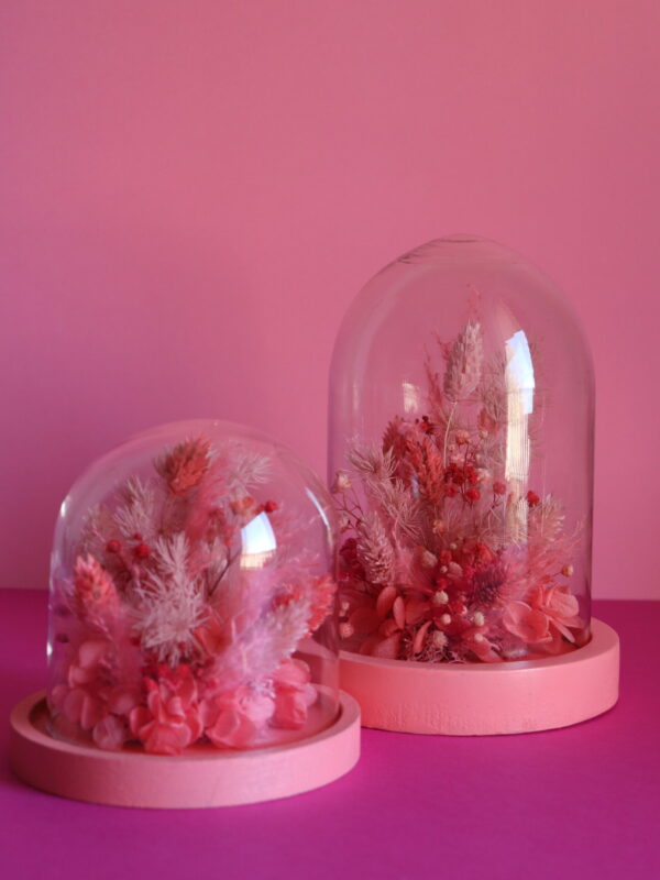 Cloche - Fraise / Framboise