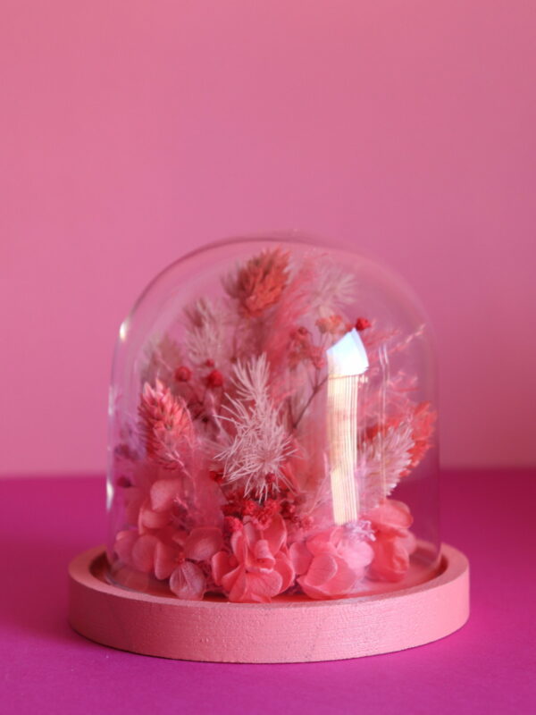 Cloche - Fraise / Framboise