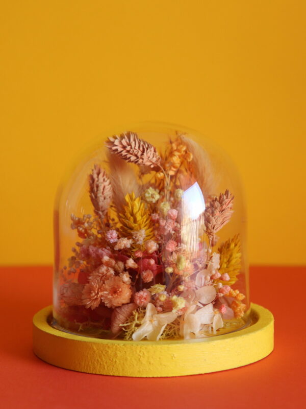 Cloche - Citron / Mangue