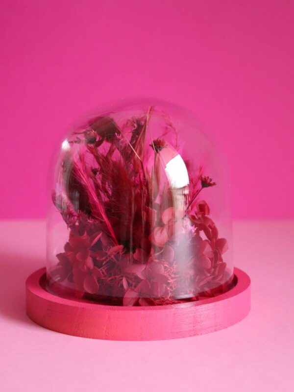 Cloche - Cerise Griotte